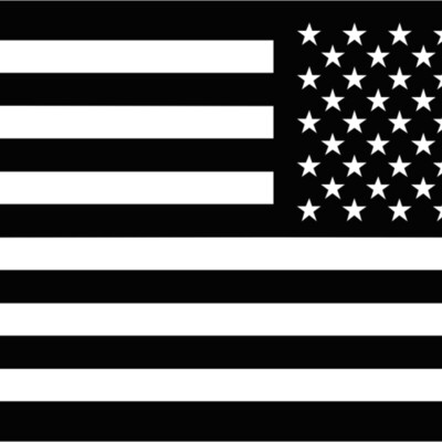 FLAG US Reversed Thumbnail