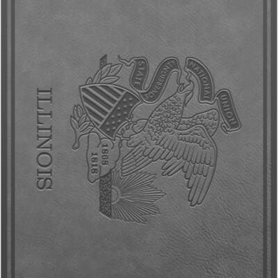 FLAG IL Vertical PATCH GRY Thumbnail