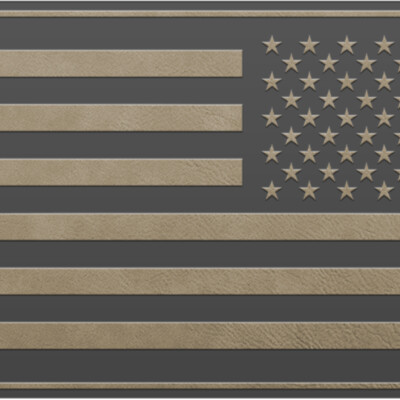 FLAG US Reversed PATCH TAN Thumbnail