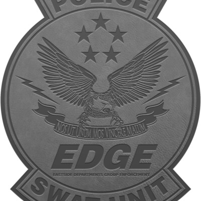 LOGO PATCH GRY Thumbnail