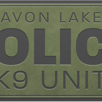 LOGO AVONLAKE PATCH ODG Thumbnail