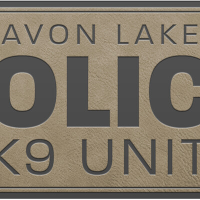 LOGO AVONLAKE PATCH TAN Thumbnail