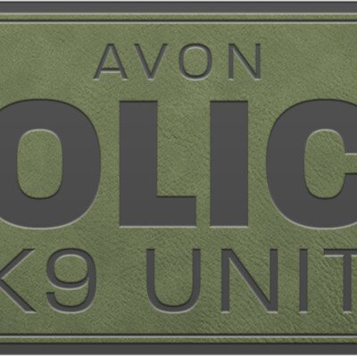 LOGO AVON PATCH ODG Thumbnail