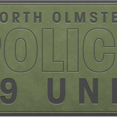 LOGO B NORTHOLMSTED PATCH ODG Thumbnail