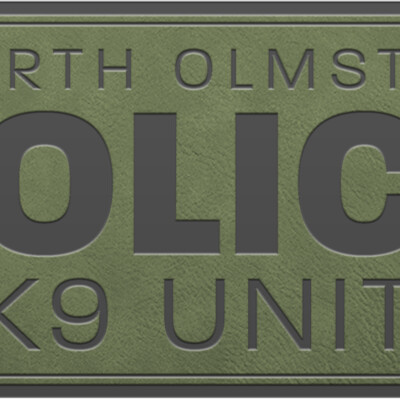 LOGO NORTHOLMSTED PATCH ODG Thumbnail