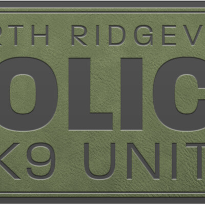 LOGO NORTHRIDGEVILLE PATCH ODG Thumbnail