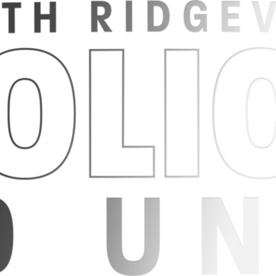 LOGO B NORTHRIDGEVILLE Thumbnail