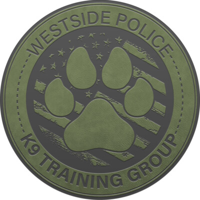 LOGO C PATCH ODG Thumbnail