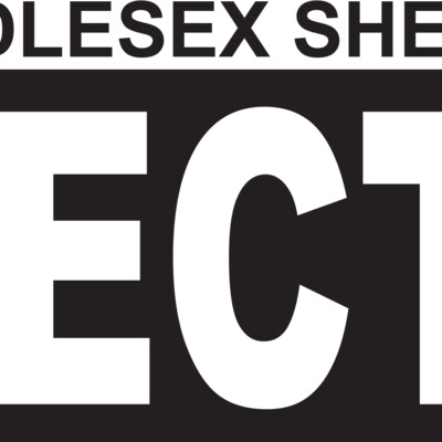 BOX Detective B Thumbnail