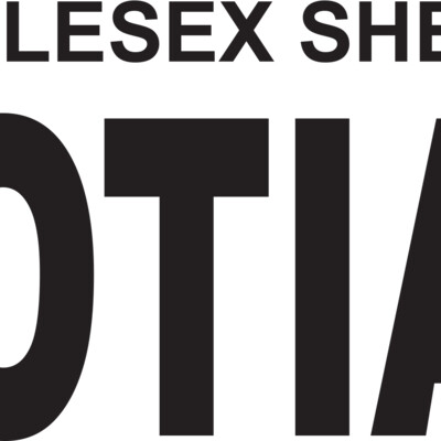 WORD Negotiator B Thumbnail