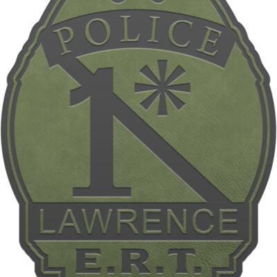 {24} LOGO D - ODG Thumbnail