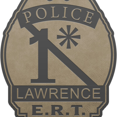 {24} LOGO D - TAN Thumbnail