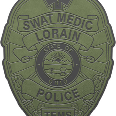 BADGE TEMS PATCH ODG Thumbnail