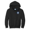 YOUTH Core Fleece Pullover Hoodie Thumbnail